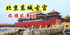 www.91色中国北京-东城古宫旅游风景区